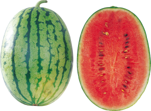 watermelon PNG image-2661